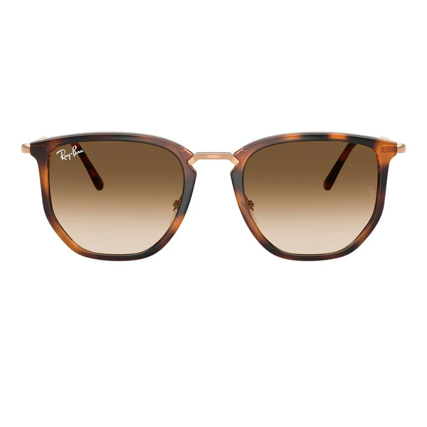 Ray-Ban RB4451